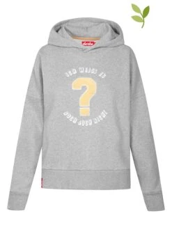 Derbe Hoodie In Grau